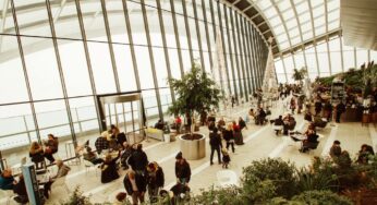 Public Benefit Corp Vs. B Corp: Understanding The Difference
